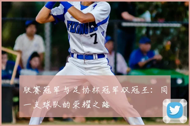 联赛冠军与足协杯冠军双冠王：同一支球队的荣耀之路